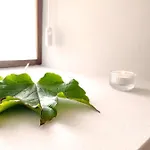 Casona Molinos Del Agua 公寓 *