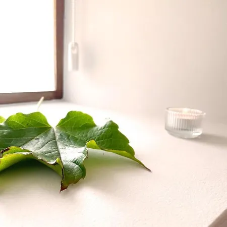 Casona Molinos Del Agua Apartamento *