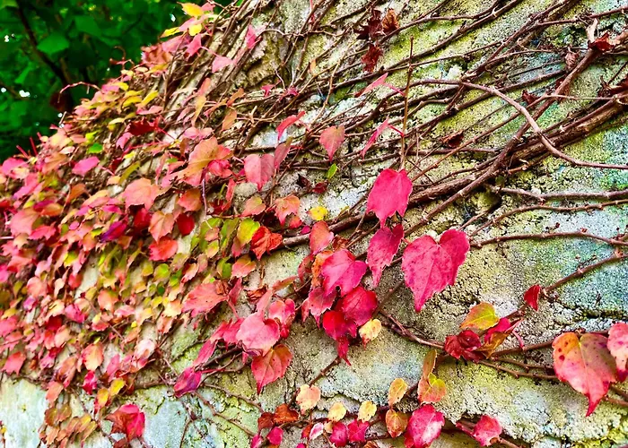 Apartment Casona Molinos Del Agua