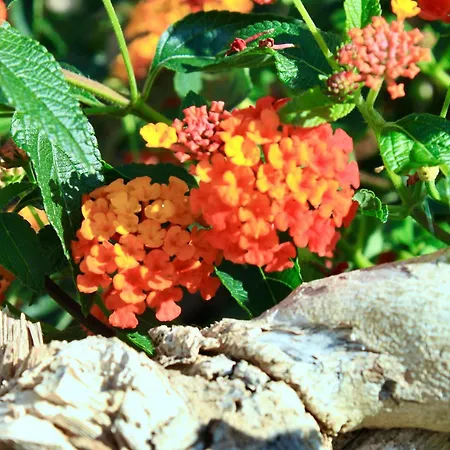 Casona Molinos Del Agua *