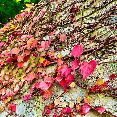 公寓 Casona Molinos Del Agua