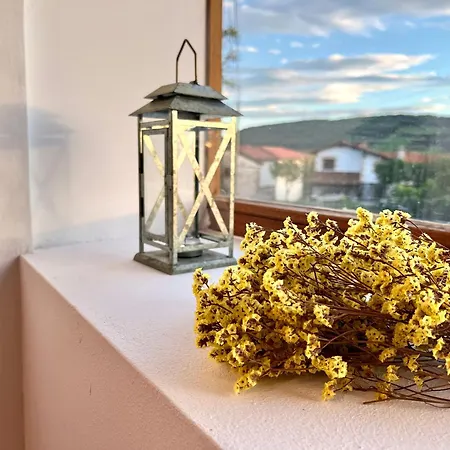 公寓 Casona Molinos Del Agua 阿内罗