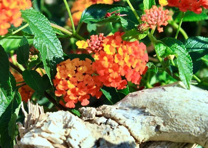 Casona Molinos Del Agua *